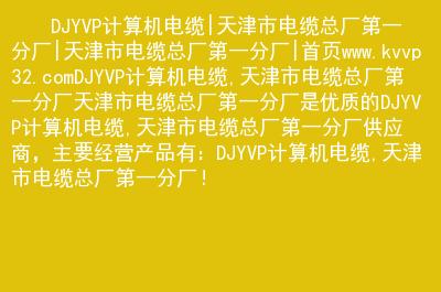 djyvp計(jì)算機(jī)電纜