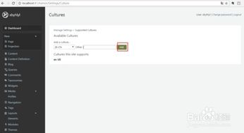 orchard cms1.10.1版本后臺(tái)漢化過程