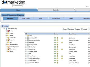 java 開源 cms 系統(tǒng),dotcms 2.2 發(fā)布
